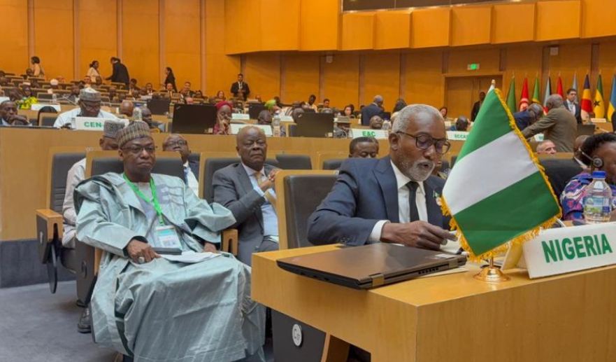 African Union Summit — 2 of 6